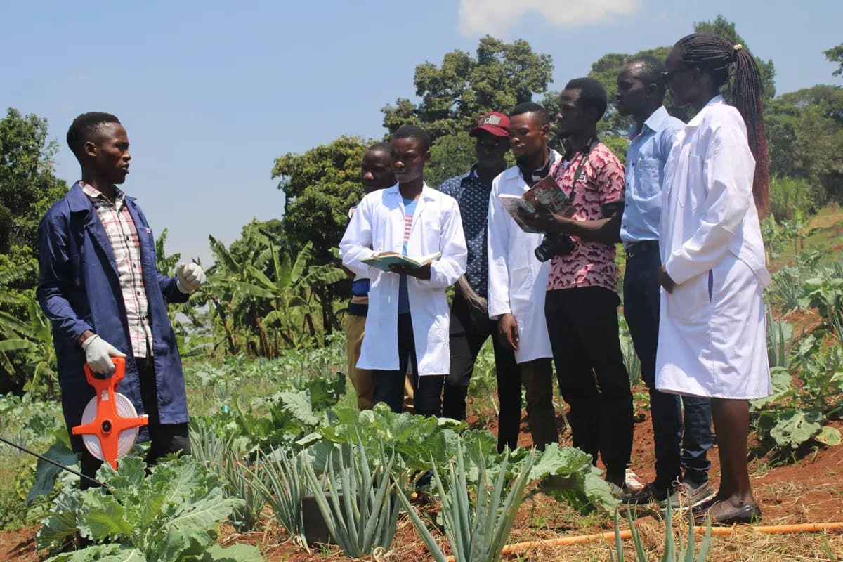 Uganda Christian University agriculture students in the field