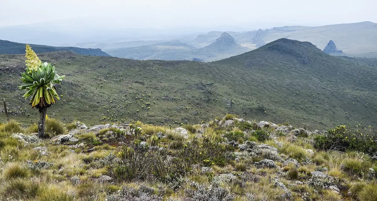 Moorland and volcanic peaks of the Aberdare range