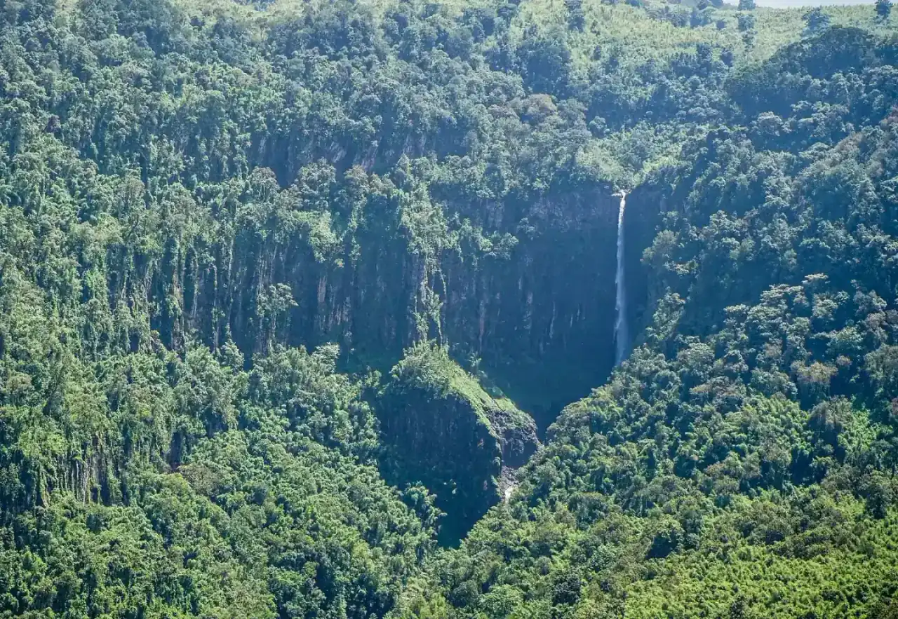 A tall waterfall dropping into forest in the Aberdare