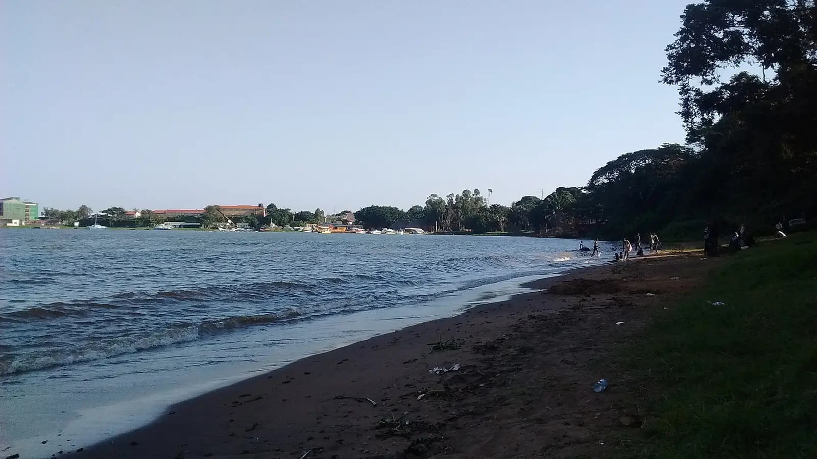 A sandy beach on Lake Victoria in the Entebbe Botanical Gardens