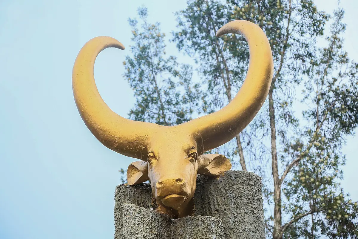 The golden cow monument at the Ethnographic Museum in Huye