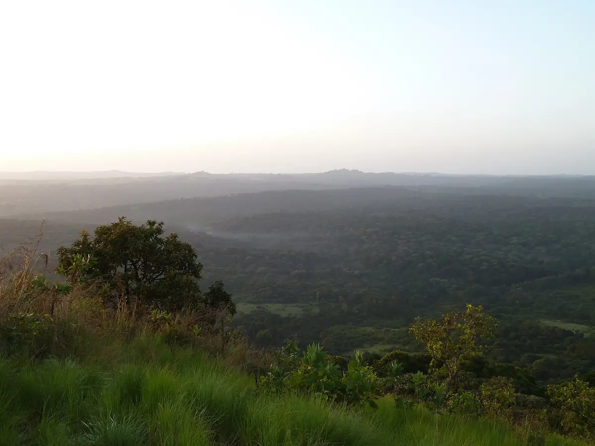 Rolling forest seen from Lirhanda Hill