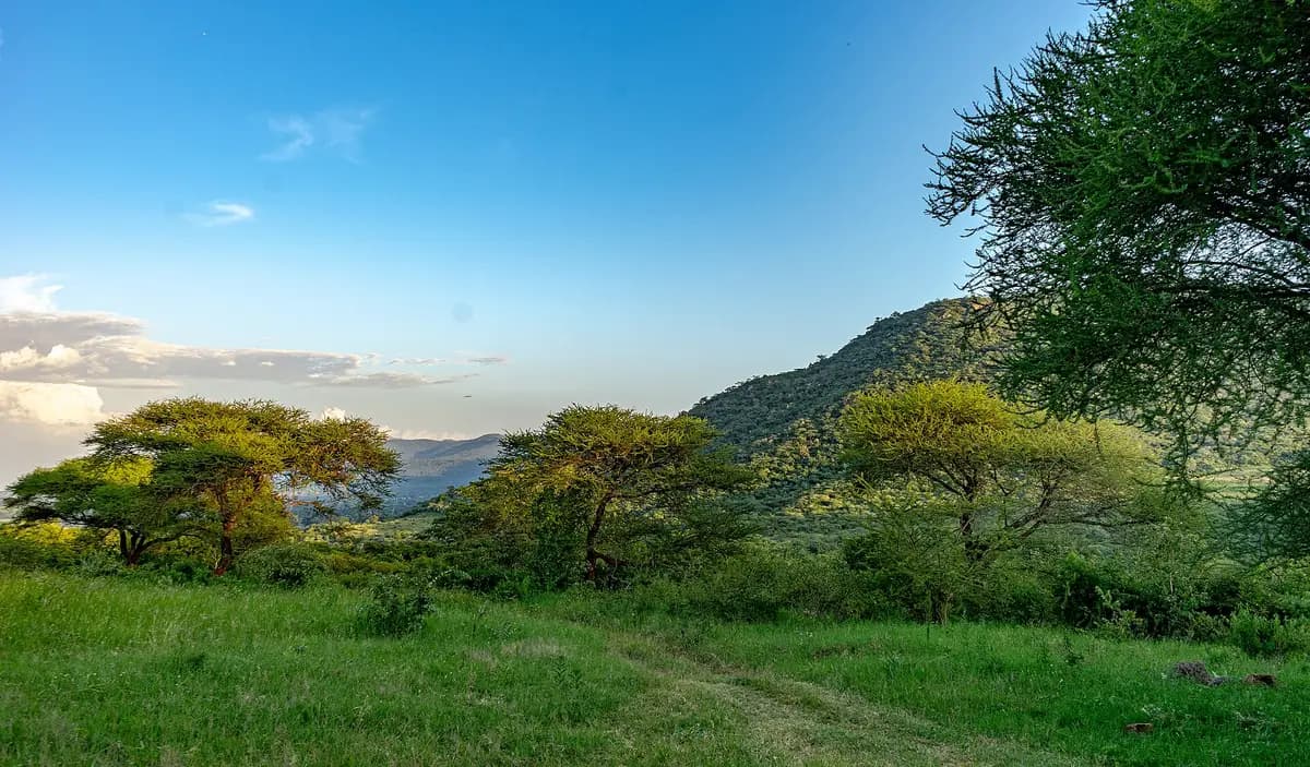 Woodland and hills around the Kondoa rock-art sites
