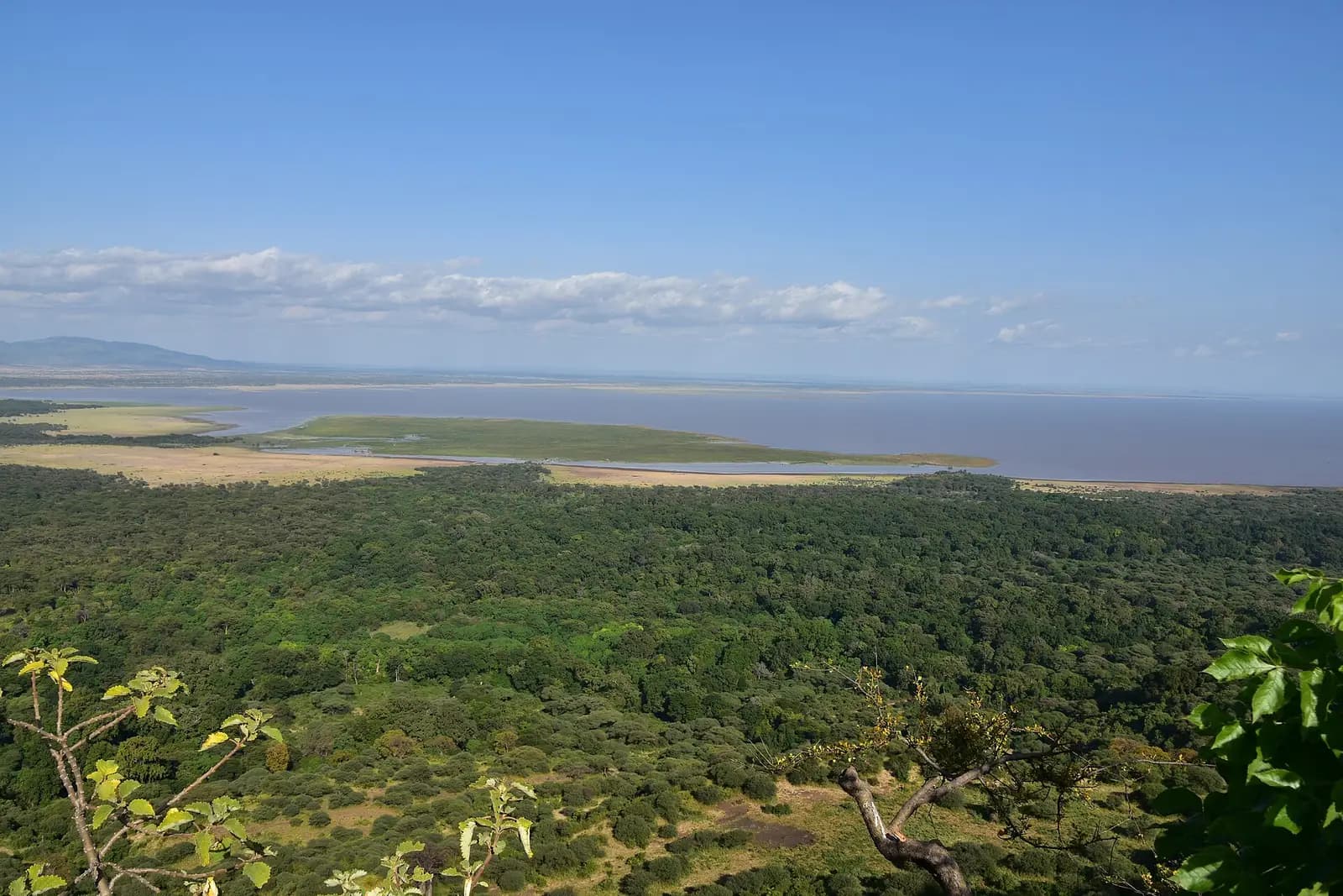 Lake Manyara and its forest seen from the Rift Valley escarpment