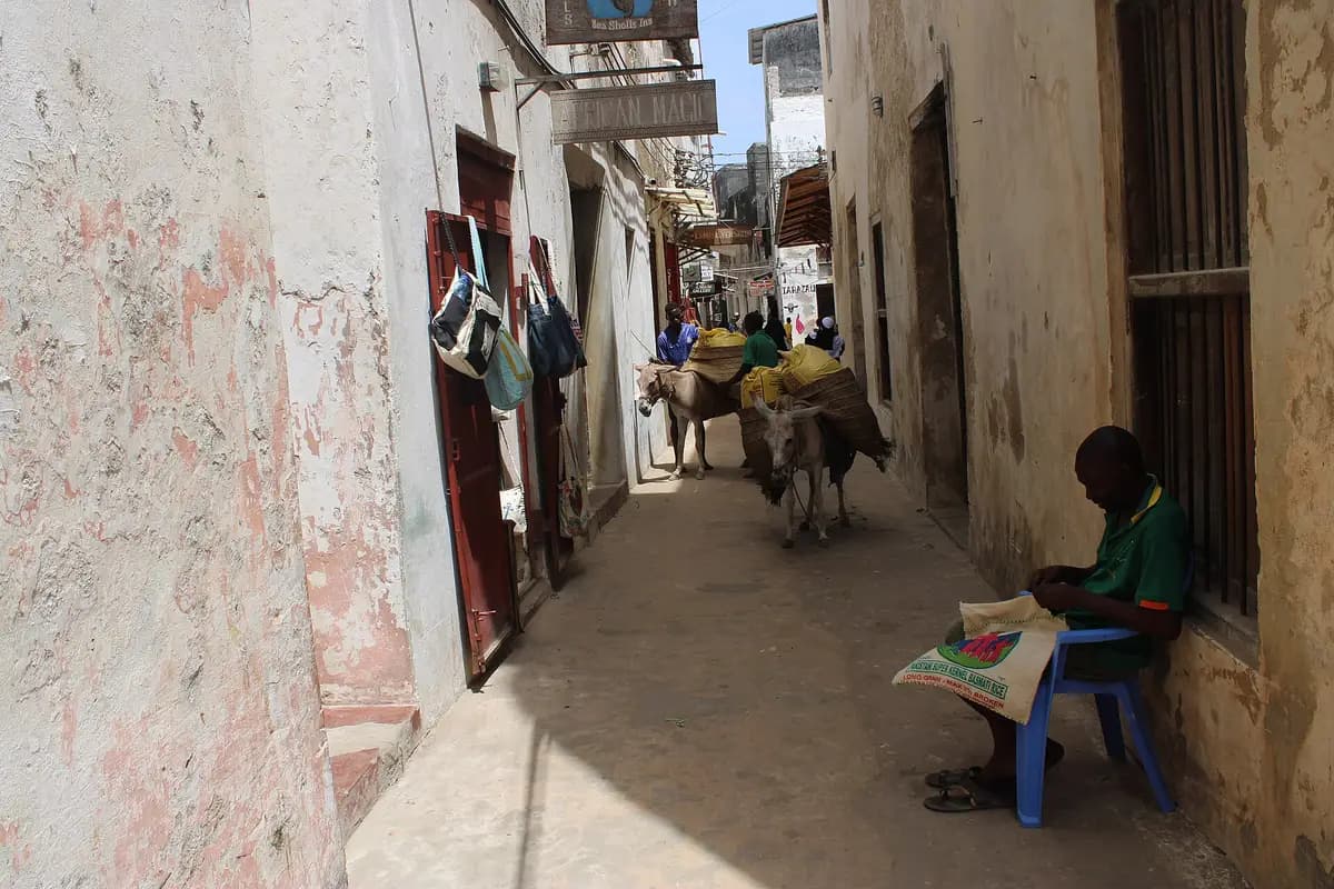 A donkey in a narrow street of Lamu Old Town