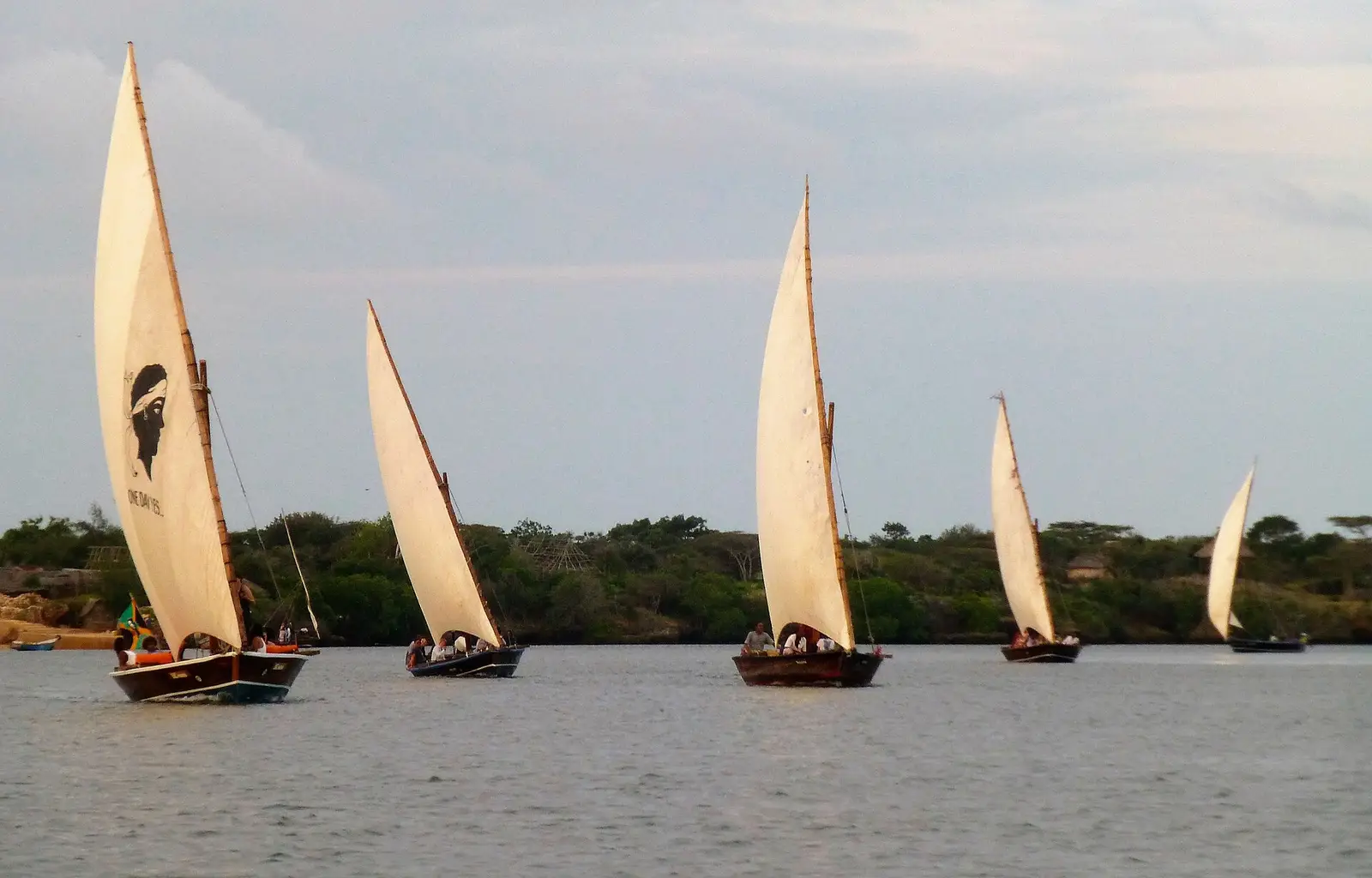 Dhows sailing in the Lamu channel