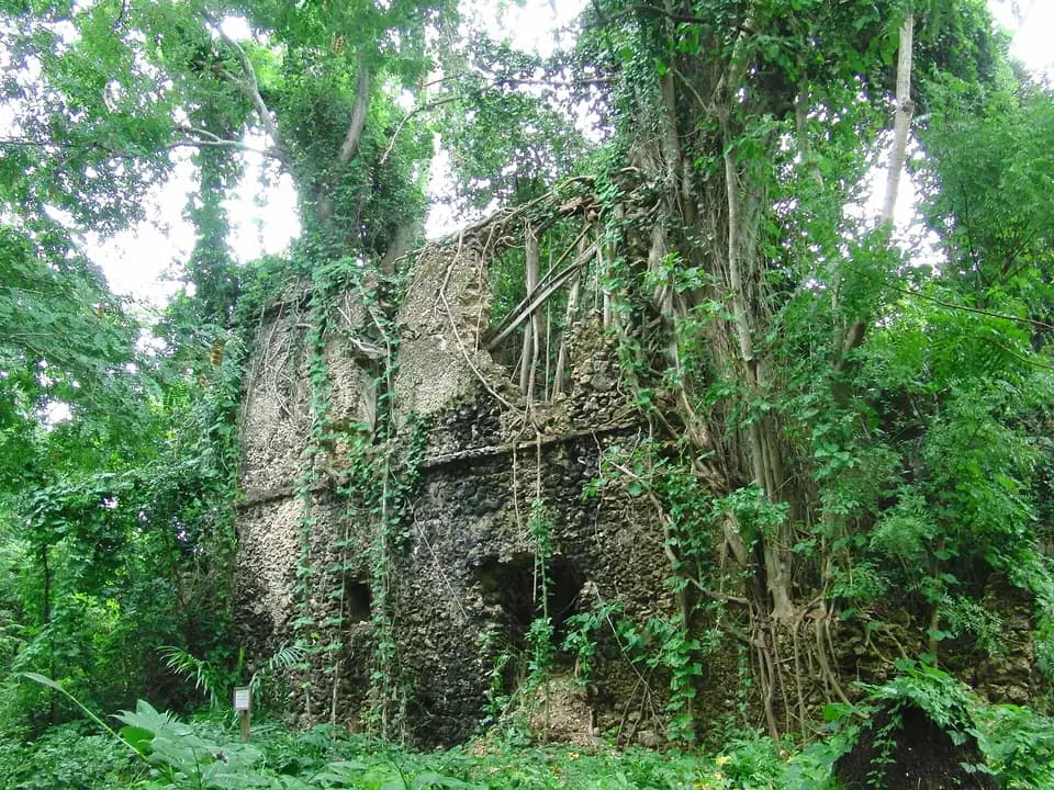 Ruins overgrown by trees on Chole Island