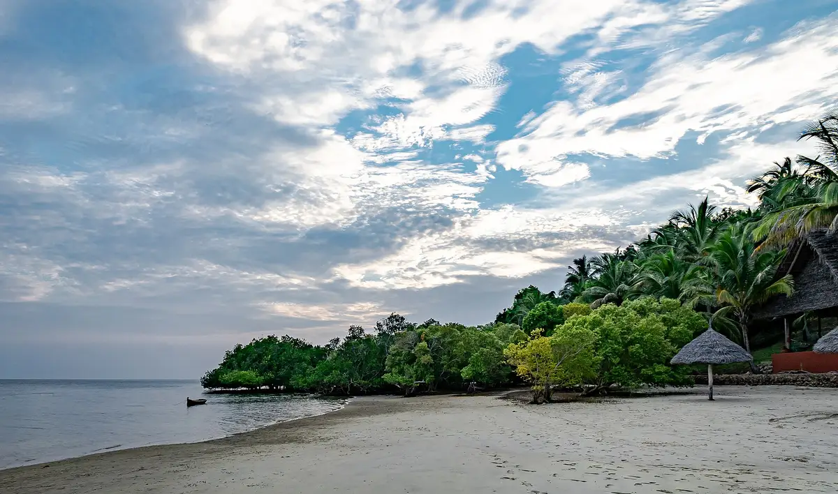 A beach and mangroves on Mafia Island