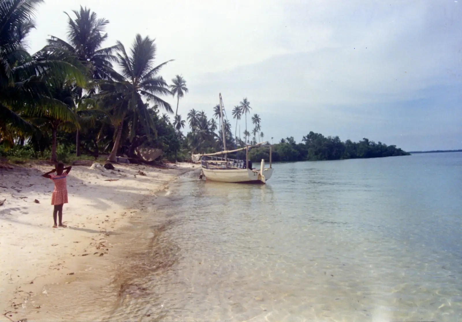 A palm-lined beach with a moored dhow on Mafia Island