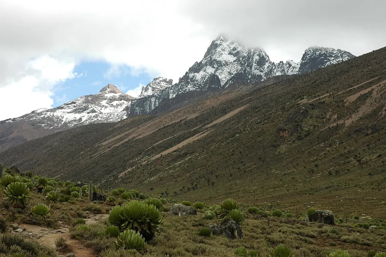 Mount Kenya's snow-streaked peaks above a moorland valley