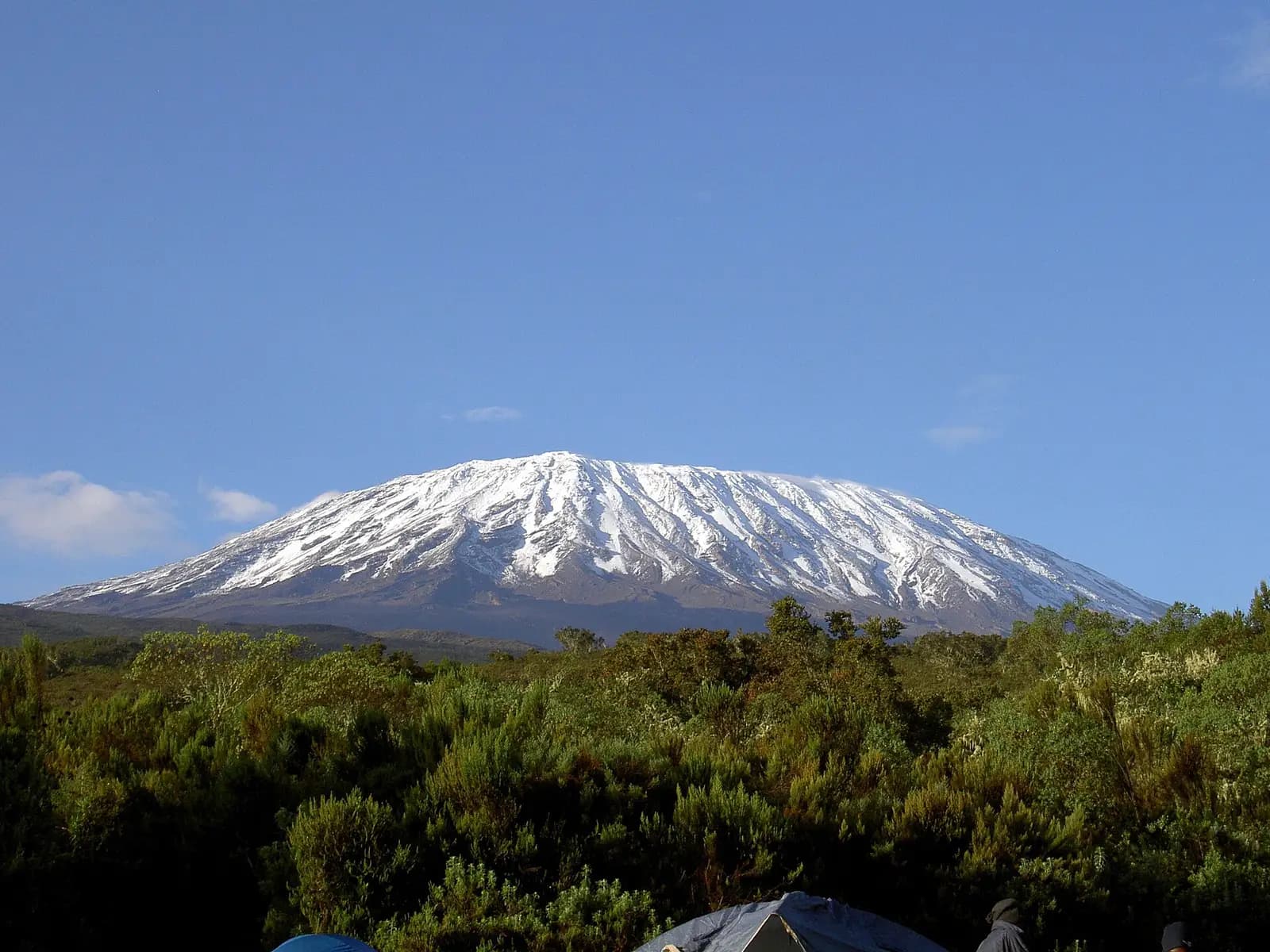 Snow-capped Kibo, the summit of Mount Kilimanjaro, above the forest
