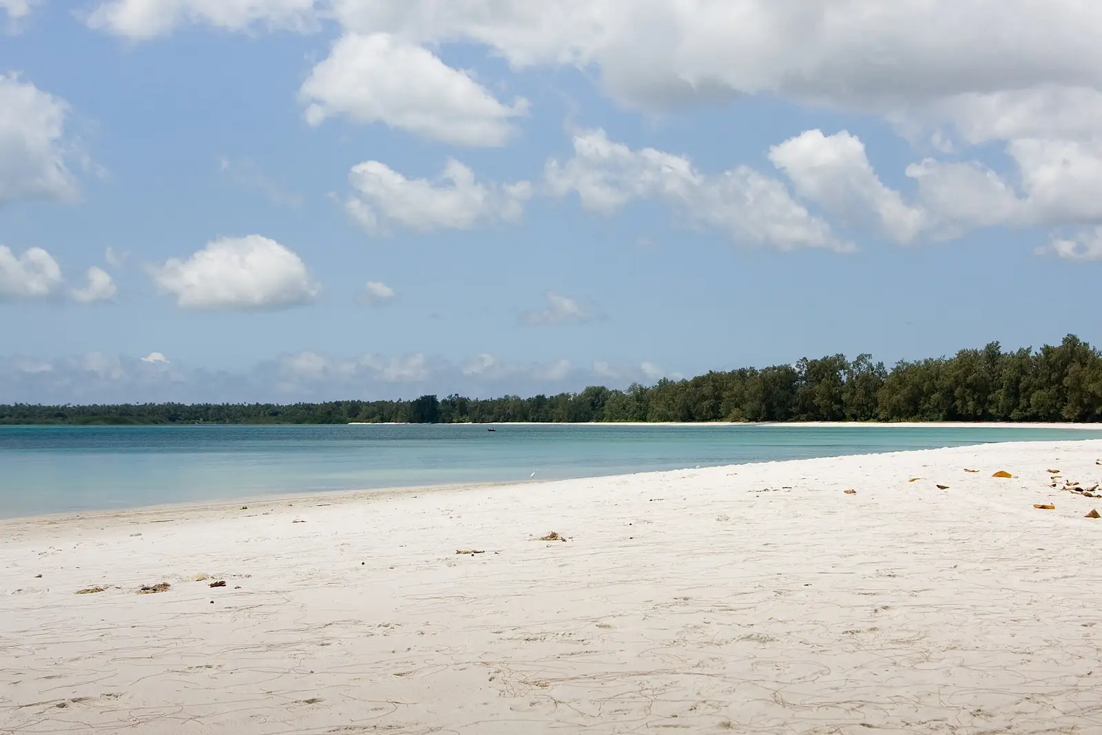 The long white sand of Vumawimbi Beach, Pemba