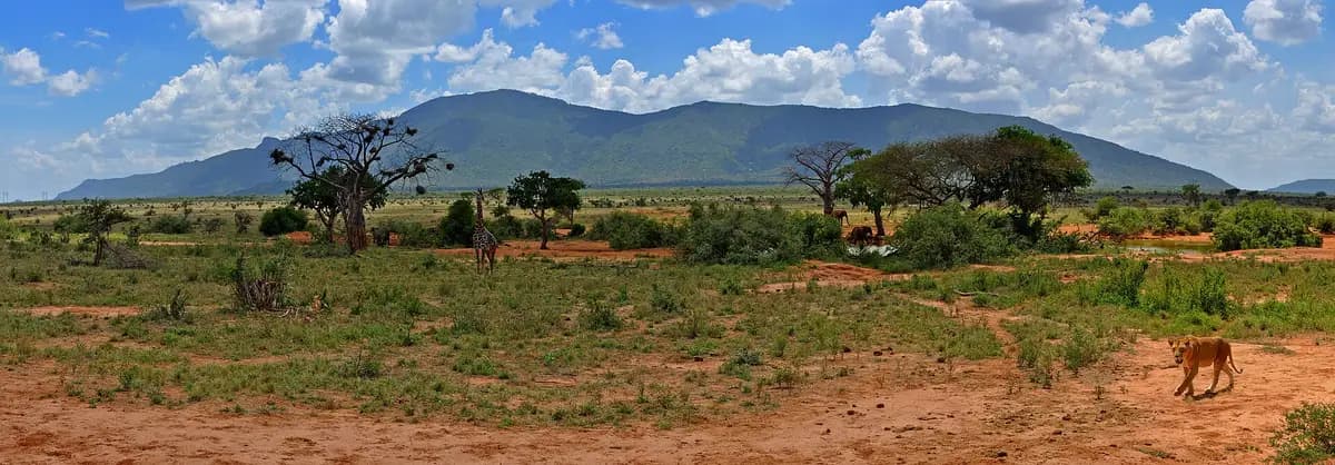 Tsavo East's bush plains below distant hills