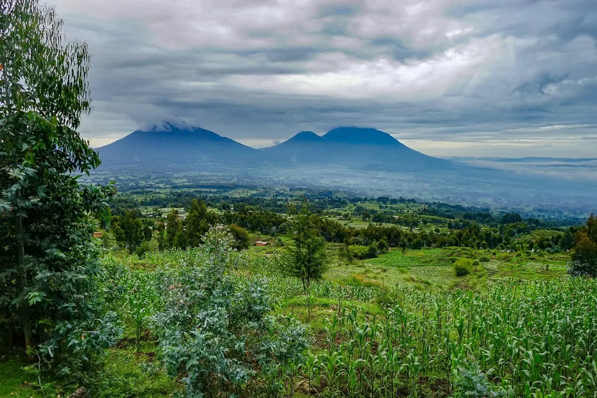 The Virunga volcanoes rising above farmland on the edge of Volcanoes National Park
