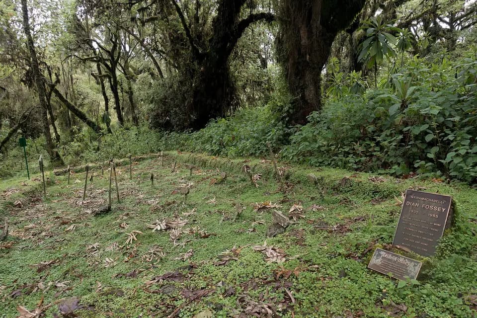 Dian Fossey's grave and the gorilla graveyard at the Karisoke camp
