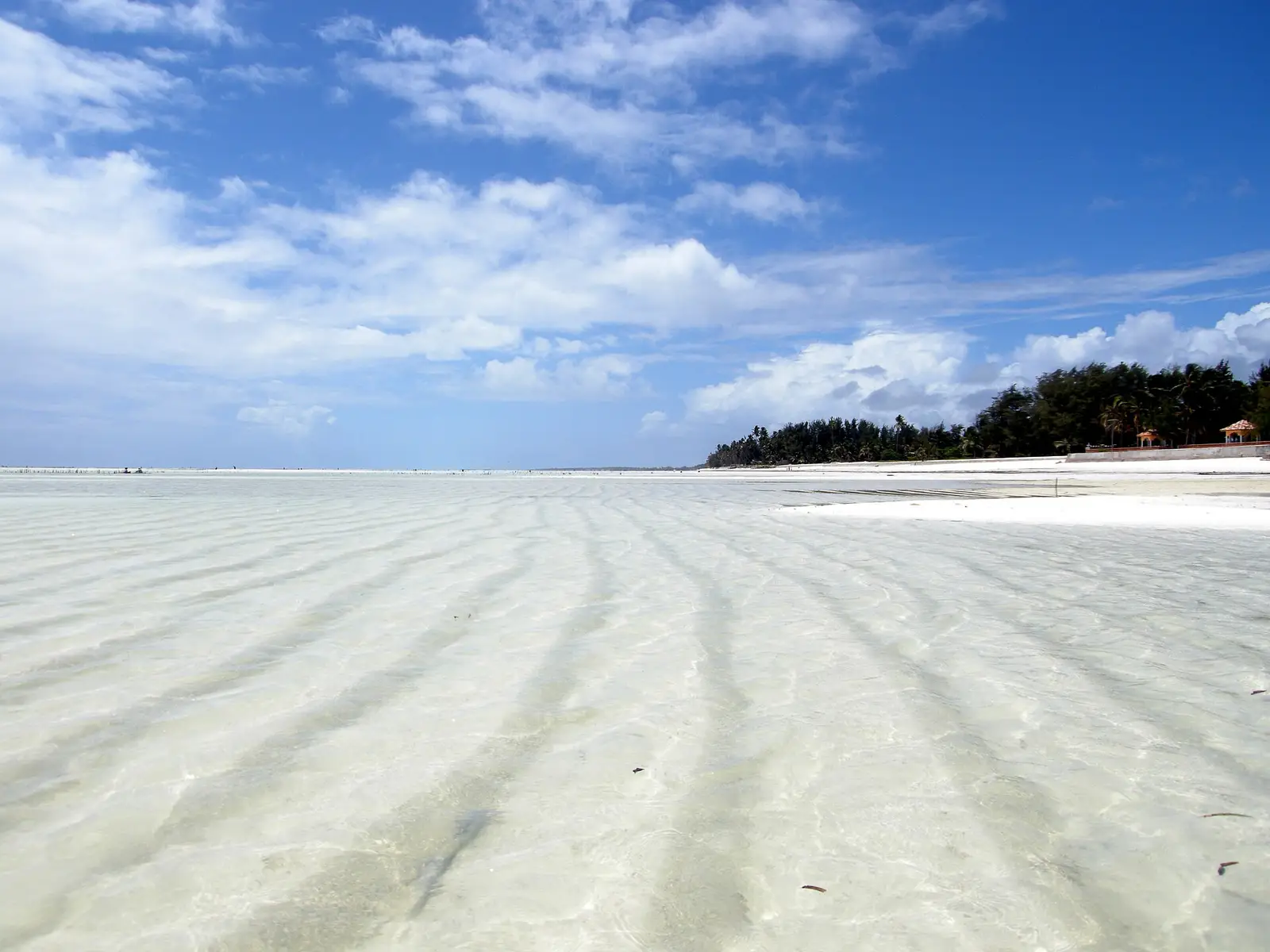 White sand ripples and turquoise water at low tide on Paje beach, Zanzibar