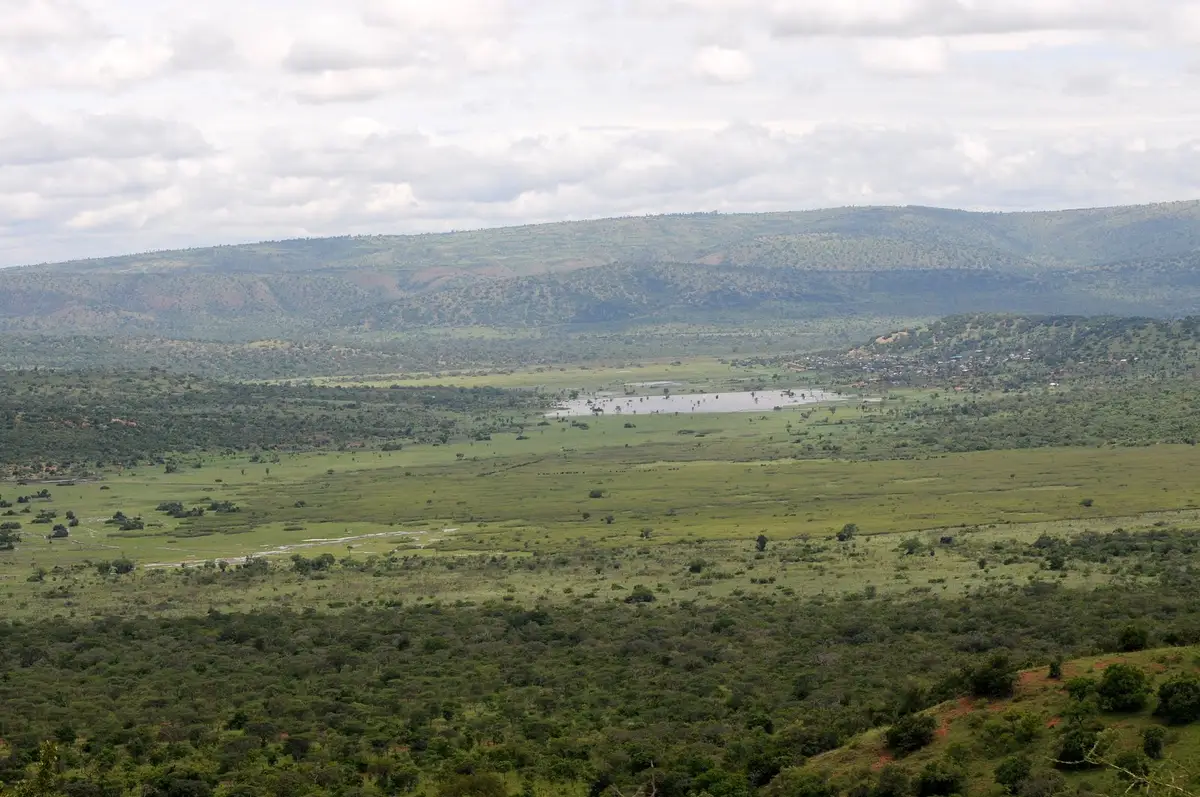 Savanna, woodland and lakes stretching across Akagera National Park