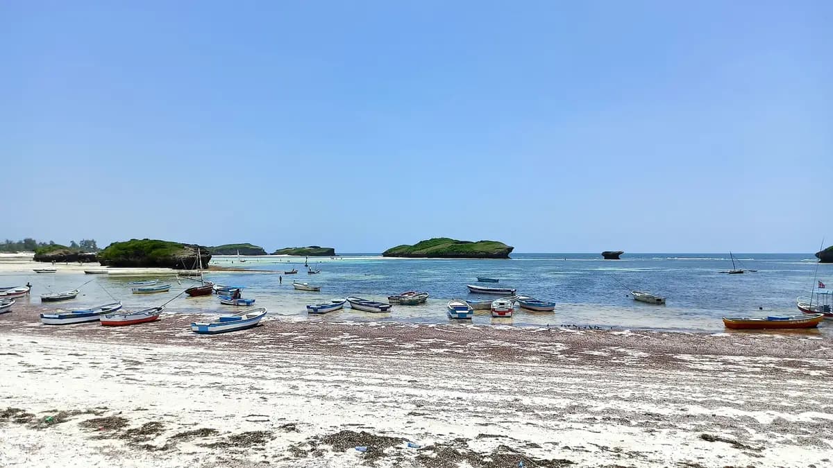 Fishing boats in the bay at Watamu
